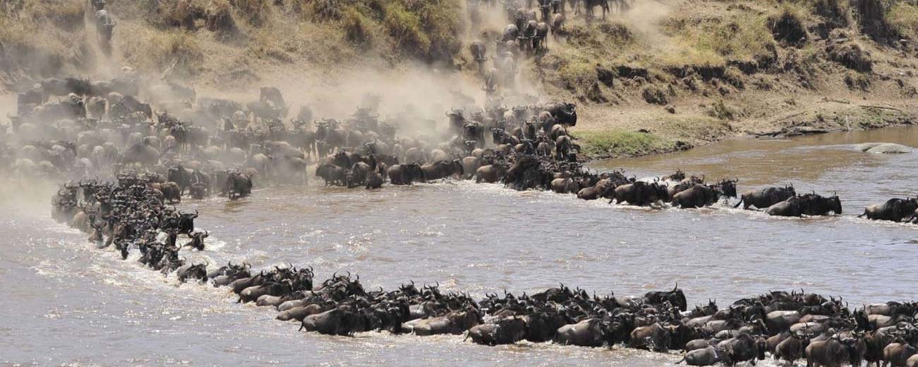 Safari-Masai-Mara-.-Lago-Nakuru-.-Amboseli-.-Taita-Hills-.-Tsavo-Est-2