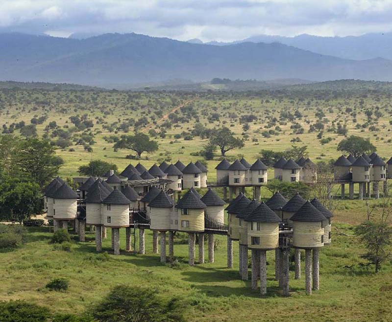 Safari-Taita-Hill-.-Amboseli-.-Tsavo-Est—1