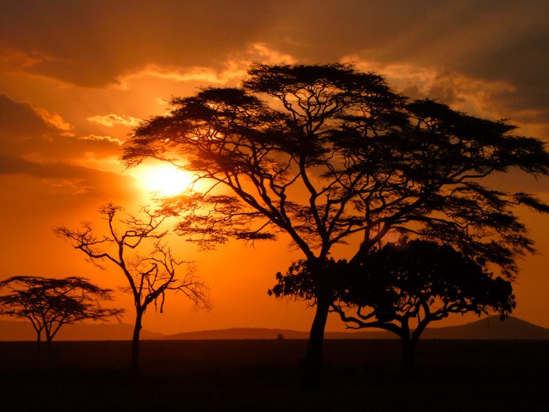 kenya notte - Safari Kenya