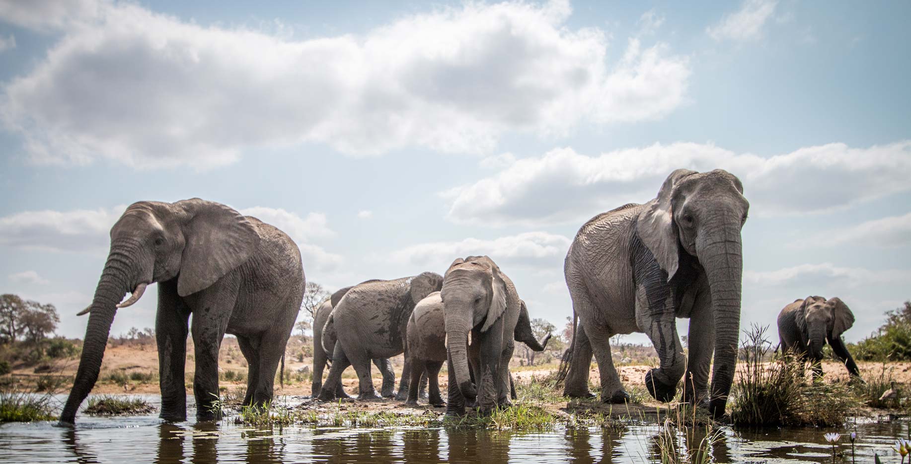safari kenya elefanti 3 - Safari Kenya